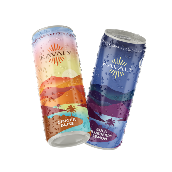 Mixed 24pk Case of Kavaly: Blueberry Lemon and Ginger Bliss